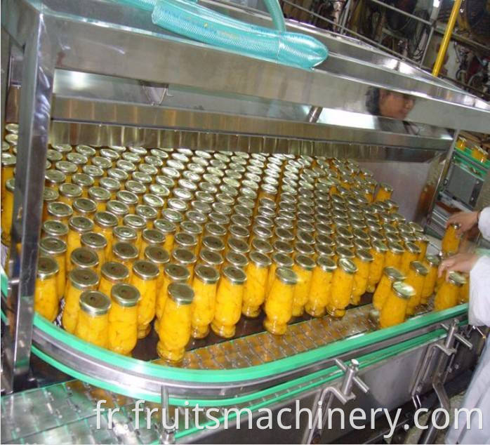 Quality Canned Food Fruit Vegetables Processing Machinery